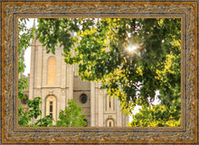 Load image into Gallery viewer, Salt Lake Brilliant Light