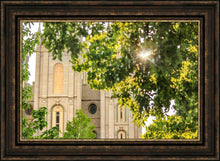 Load image into Gallery viewer, Salt Lake Brilliant Light