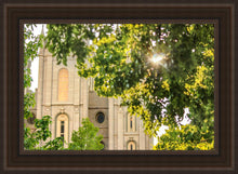 Load image into Gallery viewer, Salt Lake Brilliant Light