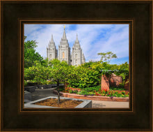 Load image into Gallery viewer, Salt Lake Eden