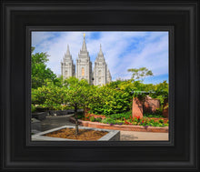 Load image into Gallery viewer, Salt Lake Eden