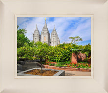 Load image into Gallery viewer, Salt Lake Eden