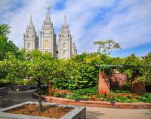 Load image into Gallery viewer, Salt Lake Eden Gallery Wrap