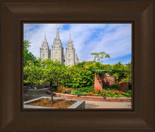 Load image into Gallery viewer, Salt Lake Eden