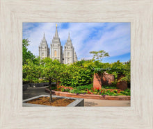 Load image into Gallery viewer, Salt Lake Eden
