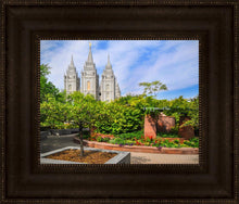 Load image into Gallery viewer, Salt Lake Eden