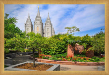 Load image into Gallery viewer, Salt Lake Eden