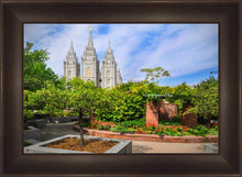 Load image into Gallery viewer, Salt Lake Eden