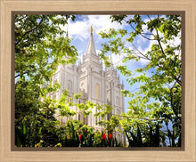 Load image into Gallery viewer, Salt Lake Glimpse of Eternity Gallery Wrap