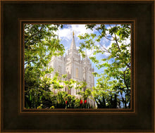 Load image into Gallery viewer, Salt Lake Glimpse of Eternity