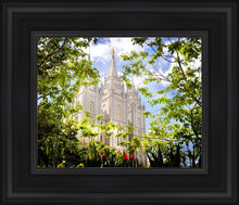 Load image into Gallery viewer, Salt Lake Glimpse of Eternity