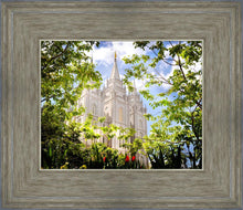 Load image into Gallery viewer, Salt Lake Glimpse of Eternity