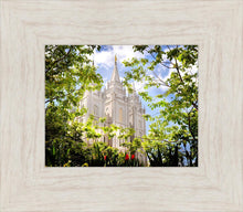 Load image into Gallery viewer, Salt Lake Glimpse of Eternity