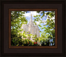 Load image into Gallery viewer, Salt Lake Glimpse of Eternity