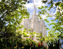 Load image into Gallery viewer, Salt Lake Glimpse of Eternity Gallery Wrap
