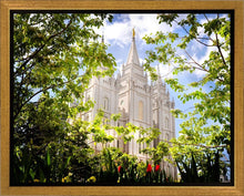 Load image into Gallery viewer, Salt Lake Glimpse of Eternity Gallery Wrap