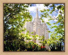 Load image into Gallery viewer, Salt Lake Glimpse of Eternity Gallery Wrap