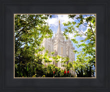 Load image into Gallery viewer, Salt Lake Glimpse of Eternity