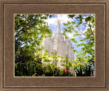 Load image into Gallery viewer, Salt Lake Glimpse of Eternity