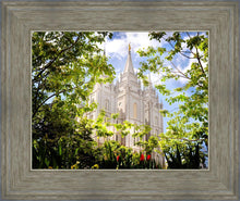 Load image into Gallery viewer, Salt Lake Glimpse of Eternity