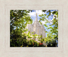 Load image into Gallery viewer, Salt Lake Glimpse of Eternity