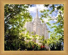 Load image into Gallery viewer, Salt Lake Glimpse of Eternity