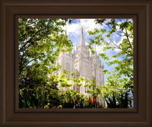 Load image into Gallery viewer, Salt Lake Glimpse of Eternity