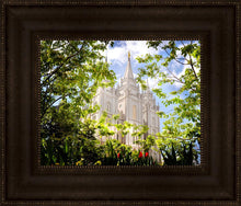 Load image into Gallery viewer, Salt Lake Glimpse of Eternity