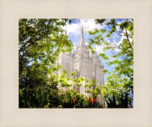 Load image into Gallery viewer, Salt Lake Glimpse of Eternity