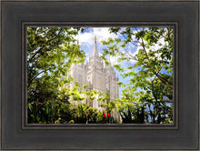 Load image into Gallery viewer, Salt Lake Glimpse of Eternity