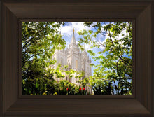 Load image into Gallery viewer, Salt Lake Glimpse of Eternity