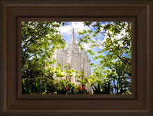 Load image into Gallery viewer, Salt Lake Glimpse of Eternity