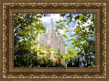 Load image into Gallery viewer, Salt Lake Glimpse of Eternity