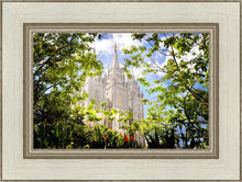 Load image into Gallery viewer, Salt Lake Glimpse of Eternity