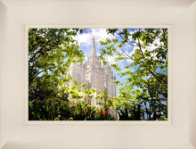 Load image into Gallery viewer, Salt Lake Glimpse of Eternity