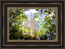 Load image into Gallery viewer, Salt Lake Glimpse of Eternity
