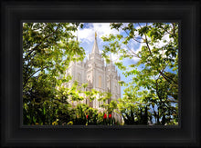 Load image into Gallery viewer, Salt Lake Glimpse of Eternity