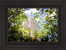Load image into Gallery viewer, Salt Lake Glimpse of Eternity