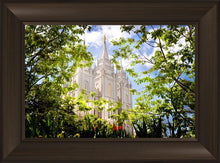 Load image into Gallery viewer, Salt Lake Glimpse of Eternity