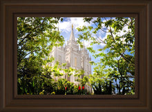Load image into Gallery viewer, Salt Lake Glimpse of Eternity