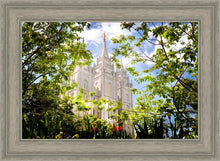 Load image into Gallery viewer, Salt Lake Glimpse of Eternity