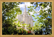 Load image into Gallery viewer, Salt Lake Glimpse of Eternity