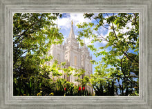 Load image into Gallery viewer, Salt Lake Glimpse of Eternity