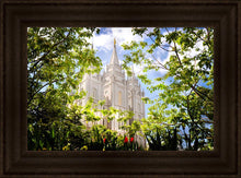 Load image into Gallery viewer, Salt Lake Glimpse of Eternity
