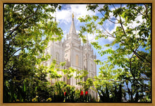 Load image into Gallery viewer, Salt Lake Glimpse of Eternity Gallery Wrap