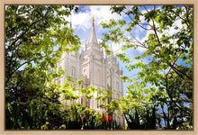 Load image into Gallery viewer, Salt Lake Glimpse of Eternity Gallery Wrap