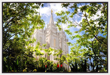 Load image into Gallery viewer, Salt Lake Glimpse of Eternity Gallery Wrap