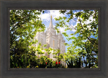 Load image into Gallery viewer, Salt Lake Glimpse of Eternity