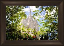 Load image into Gallery viewer, Salt Lake Glimpse of Eternity