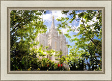 Load image into Gallery viewer, Salt Lake Glimpse of Eternity